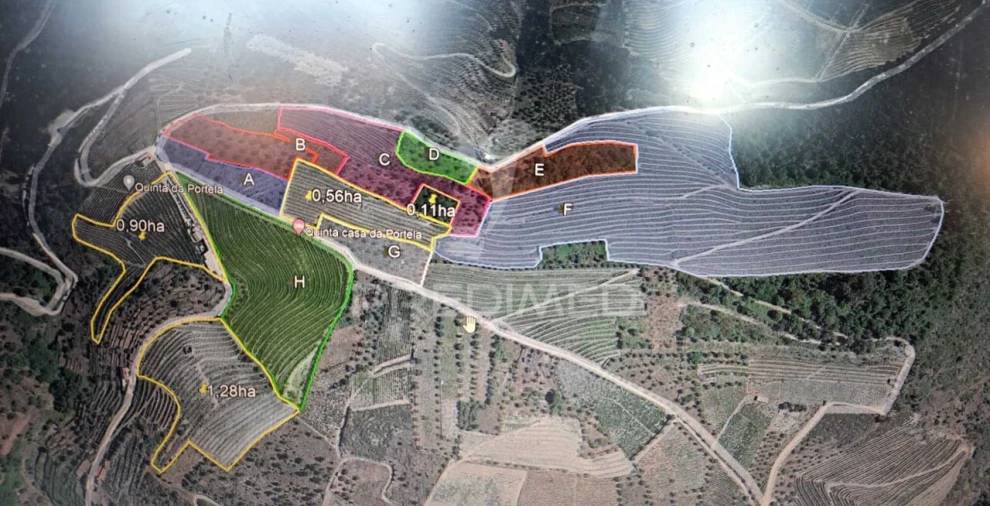 Quinta T3 para Venda em Adorigo Foto 11