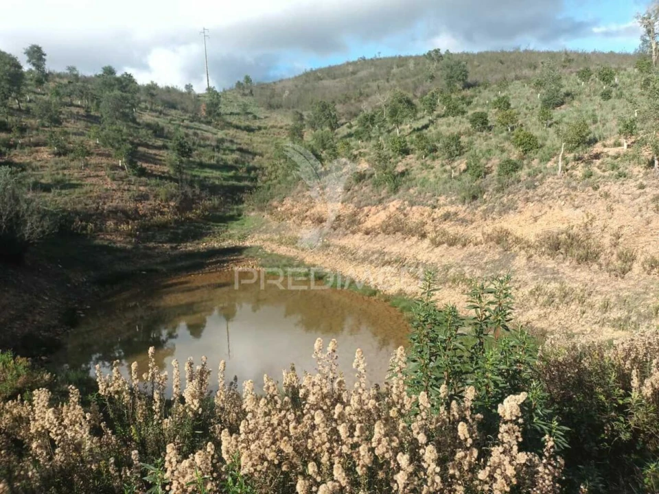 Terreno para Venda em São Marcos da Serra Foto 7