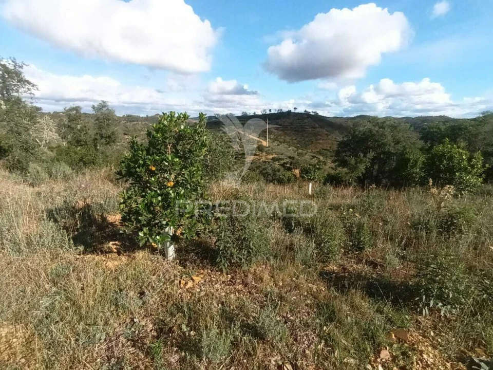 Terreno para Venda em São Marcos da Serra Foto 19
