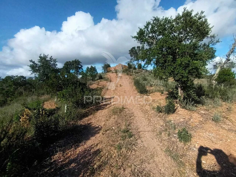 Terreno para Venda em São Marcos da Serra Foto 4
