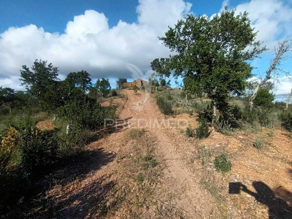 Terreno para Venda em São Marcos da Serra Foto 5