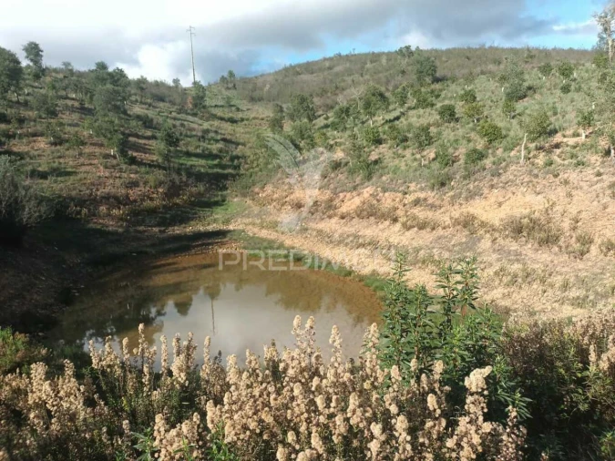 Terreno para Venda em São Marcos da Serra Foto 7