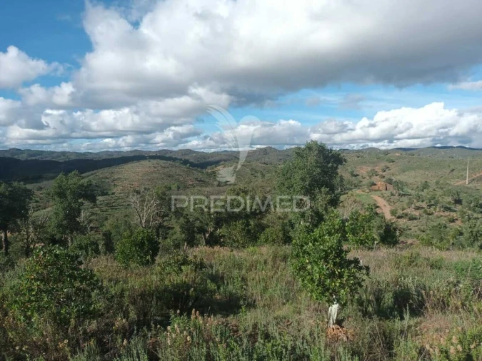 Terreno para Venda em São Marcos da Serra Foto 13