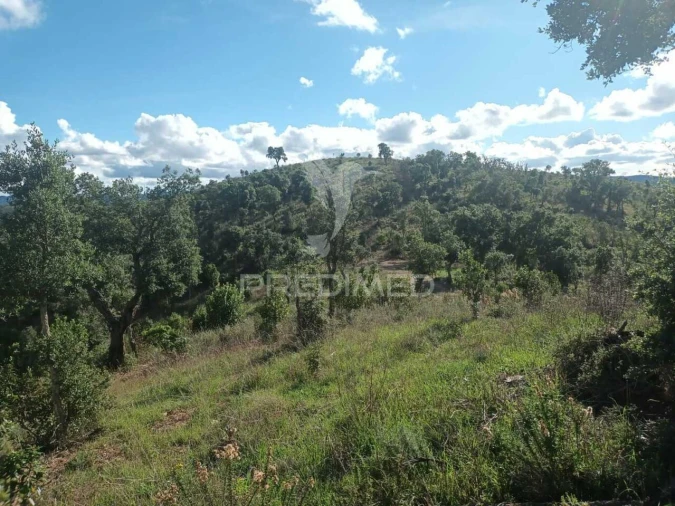 Terreno para Venda em São Marcos da Serra Foto 20