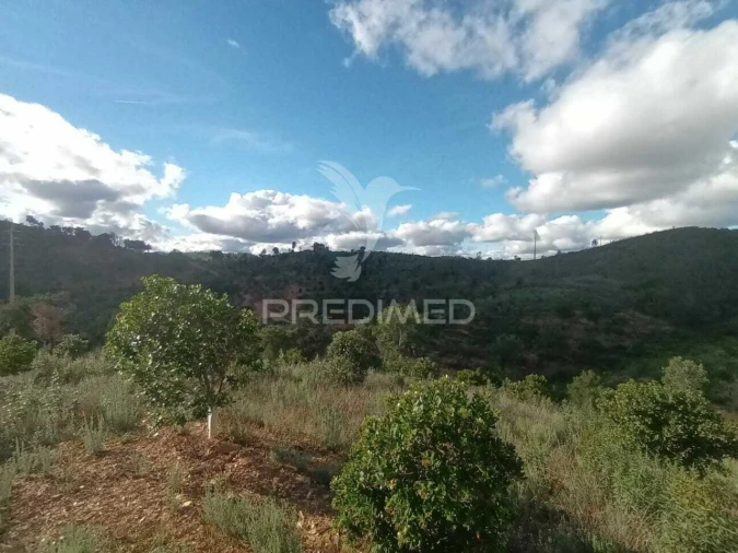 Terreno para Venda em São Marcos da Serra Foto 8