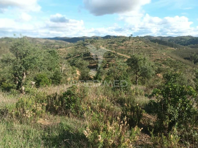 Terreno para Venda em São Marcos da Serra Foto 24