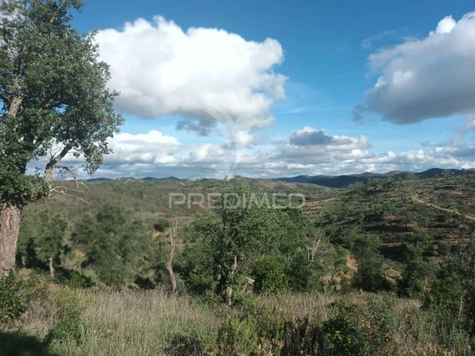 Terreno para Venda em São Marcos da Serra Foto 21