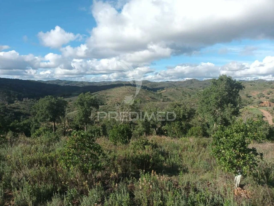 Terreno para Venda em São Marcos da Serra Foto 12