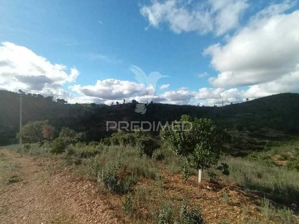 Terreno para Venda em São Marcos da Serra Foto 11