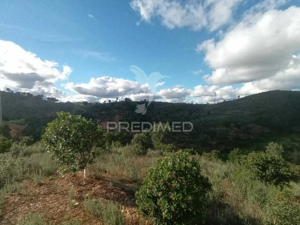 Terreno para Venda em São Marcos da Serra Foto 10