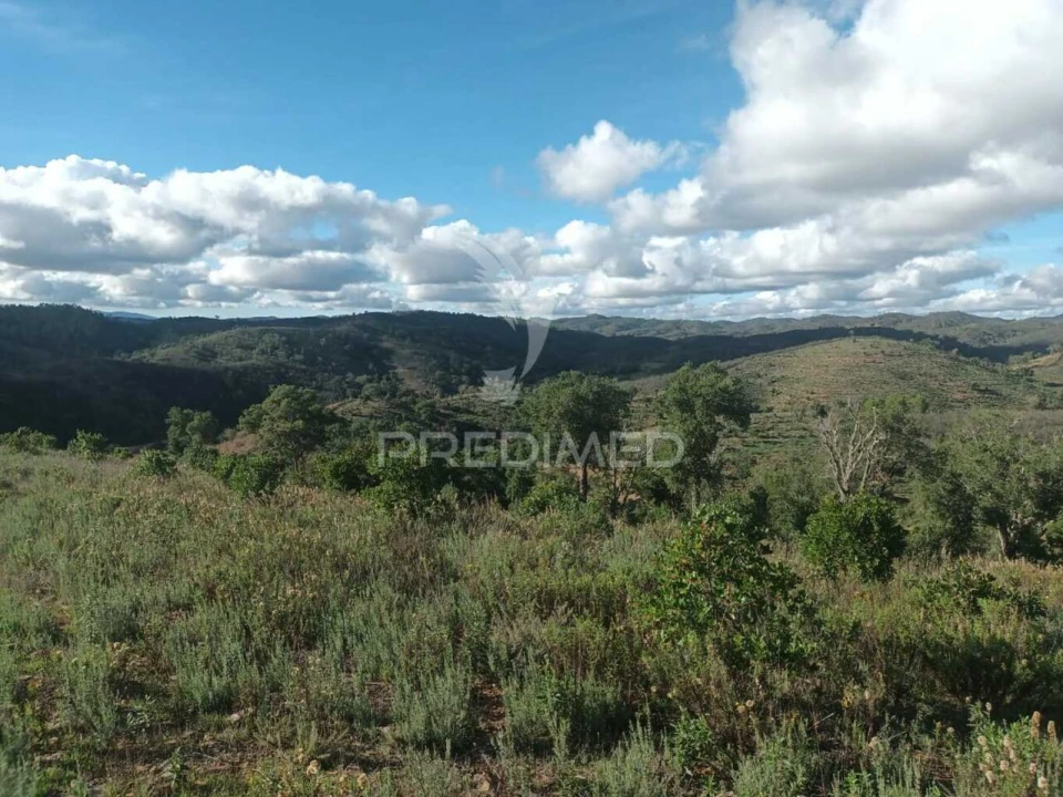 Terreno para Venda em São Marcos da Serra Foto 16