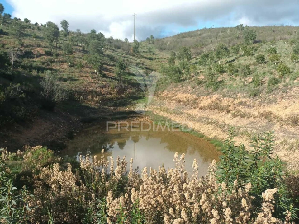 Terreno para Venda em São Marcos da Serra Foto 6