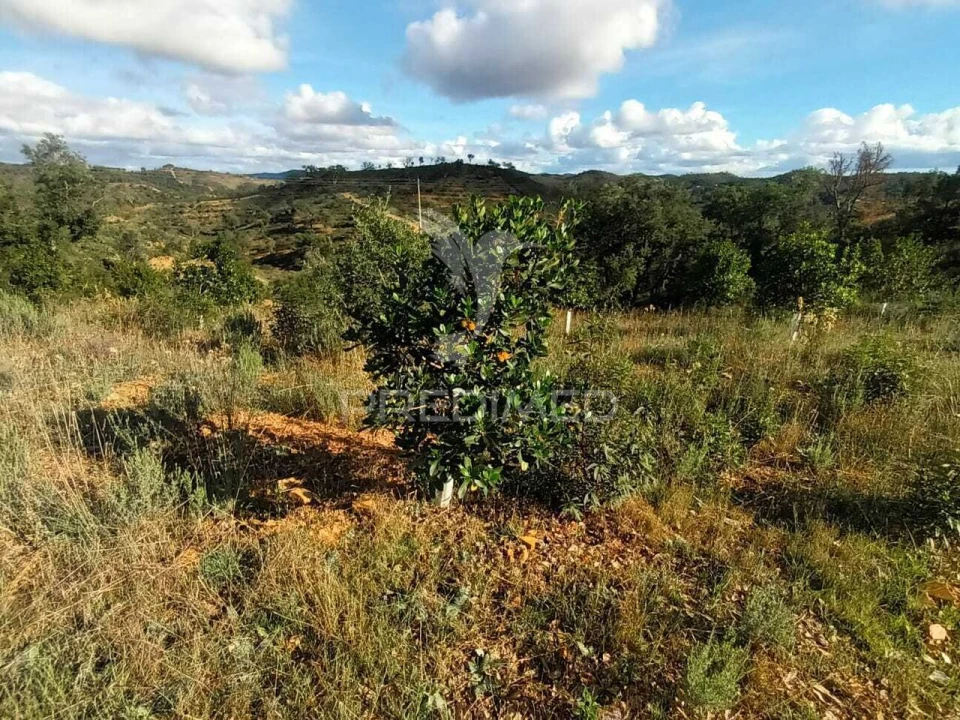 Terreno para Venda em São Marcos da Serra Foto 18