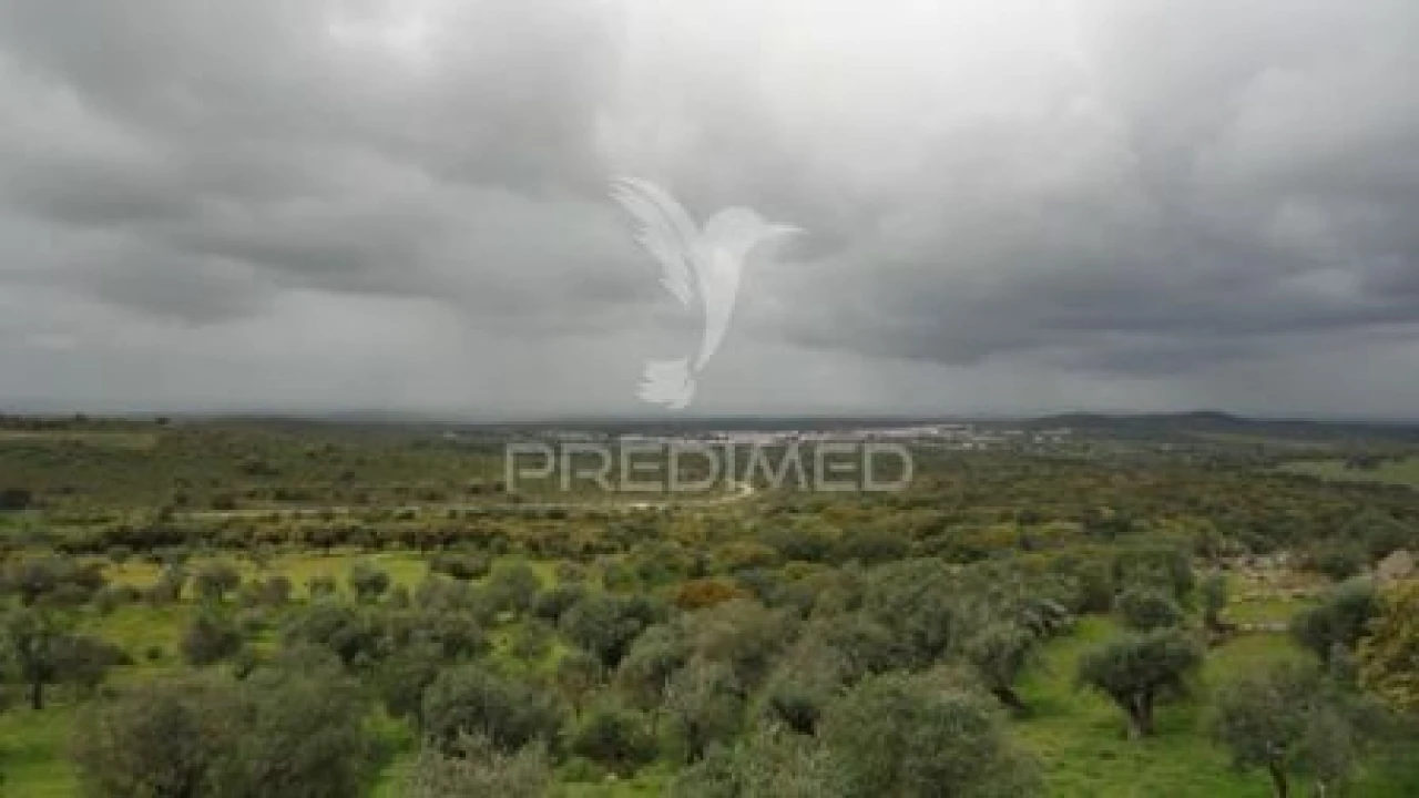 Moradia T2 para Venda em Alter do Chão Foto 10