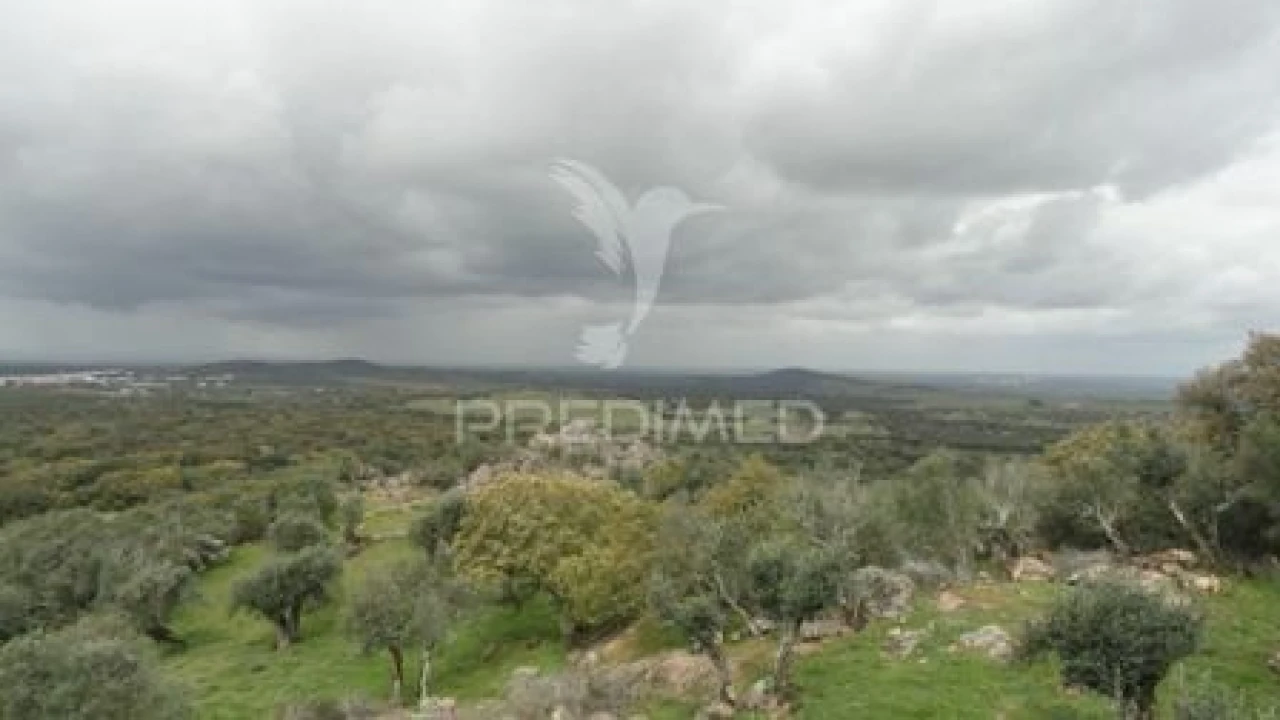 Moradia T2 para Venda em Alter do Chão Foto 9