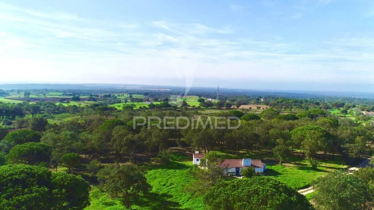 Terreno para Venda em Melides Foto 2