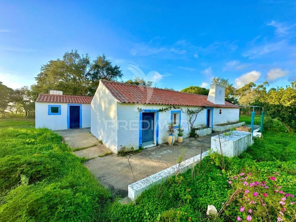 Terreno para Venda em Melides Foto 19