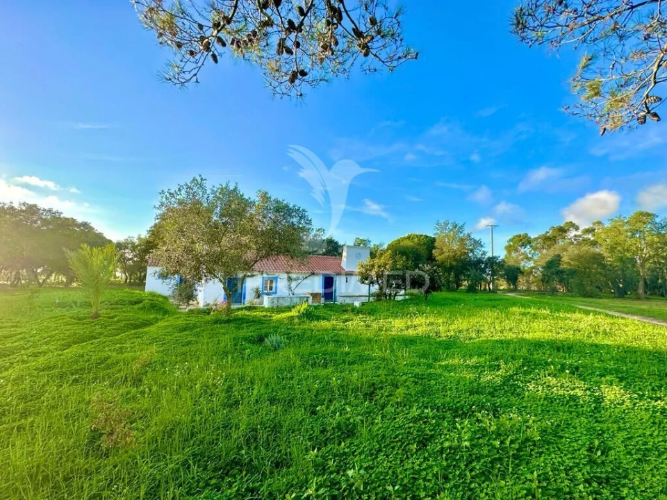 Terreno para Venda em Melides Foto 18