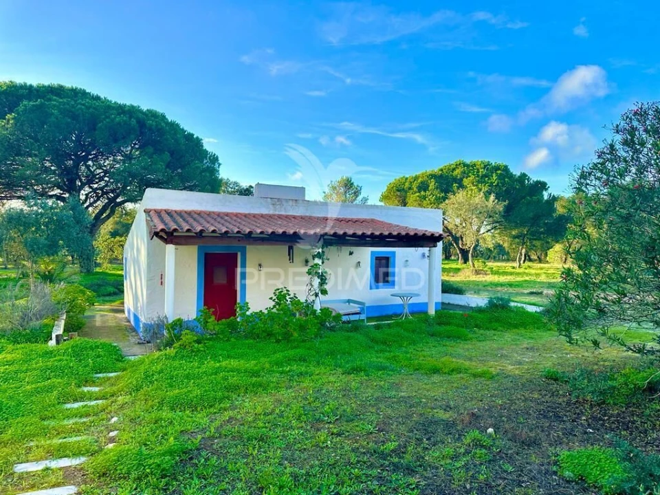 Terreno para Venda em Melides Foto 13