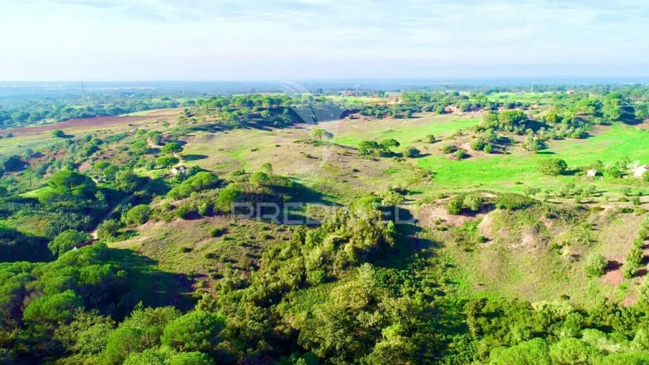 Terreno para Venda em Melides Foto 20