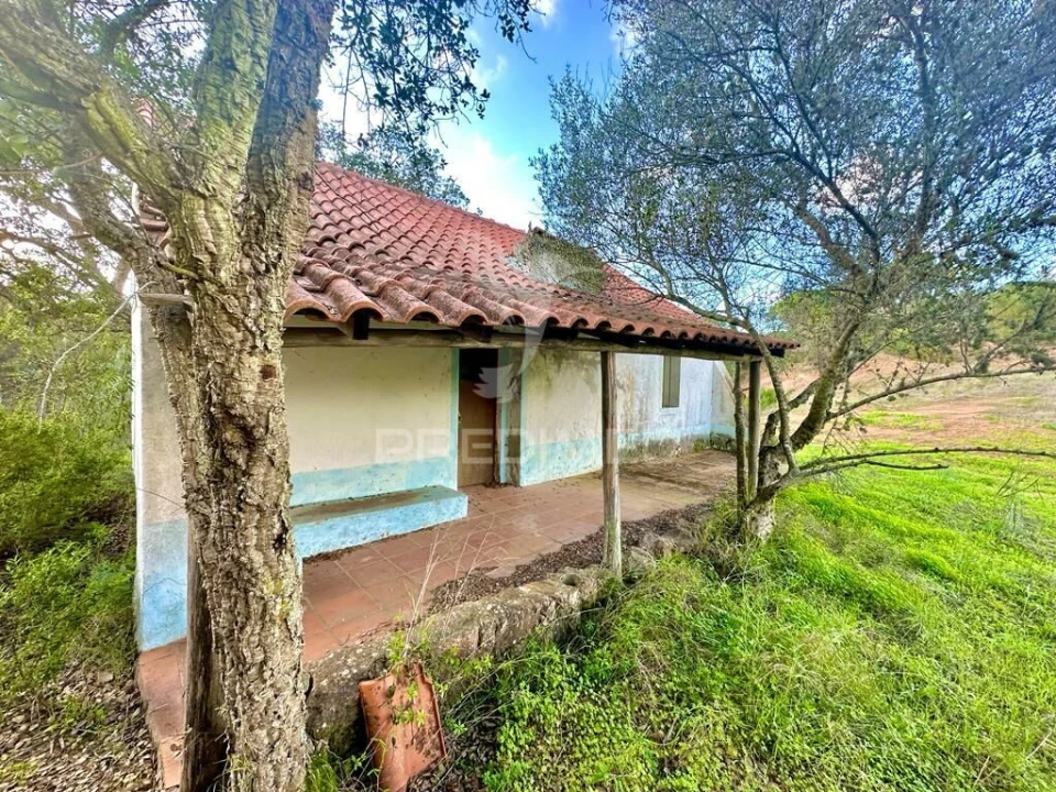 Terreno para Venda em Melides Foto 7