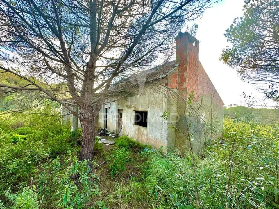 Terreno para Venda em Melides Foto 5