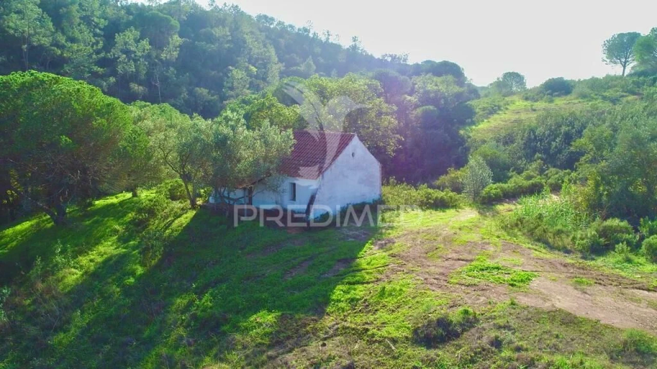 Terreno para Venda em Melides Foto 11