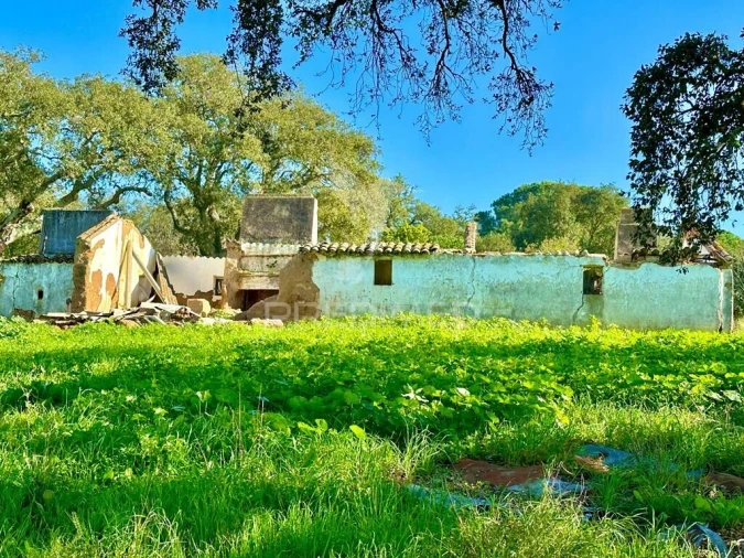 Terreno para Venda em Melides Foto 6