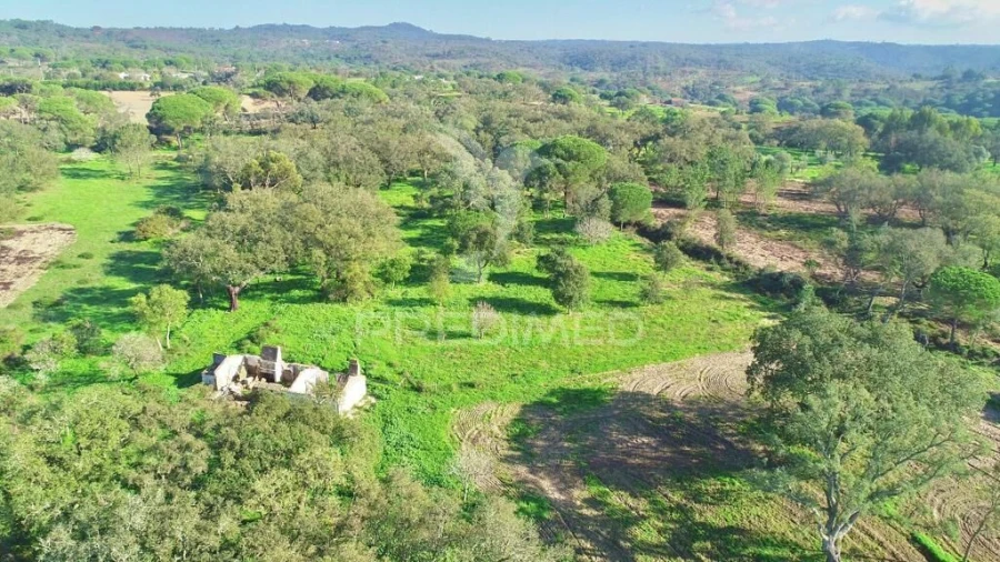 Terreno para Venda em Melides Foto 21