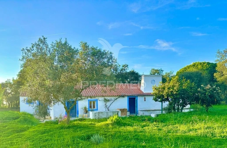 Terreno para Venda em Melides Foto 17