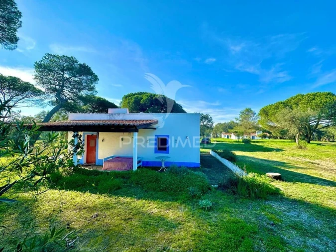 Terreno para Venda em Melides Foto 10