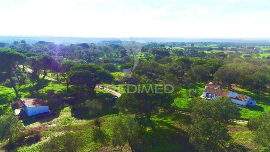 Terreno para Venda em Melides Foto 16