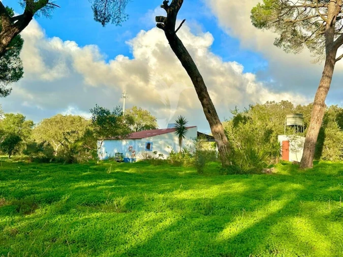 Terreno para Venda em Melides Foto 15