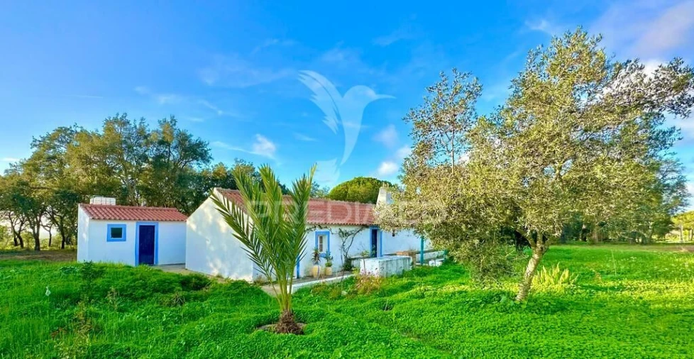 Terreno para Venda em Melides Foto 14