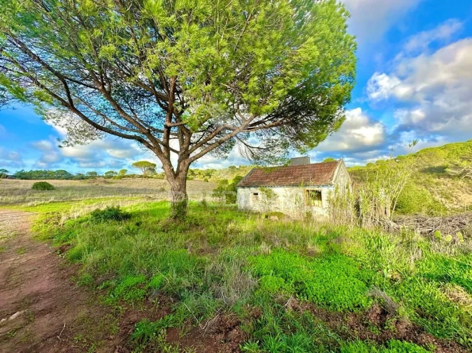 Terreno para Venda em Melides Foto 4
