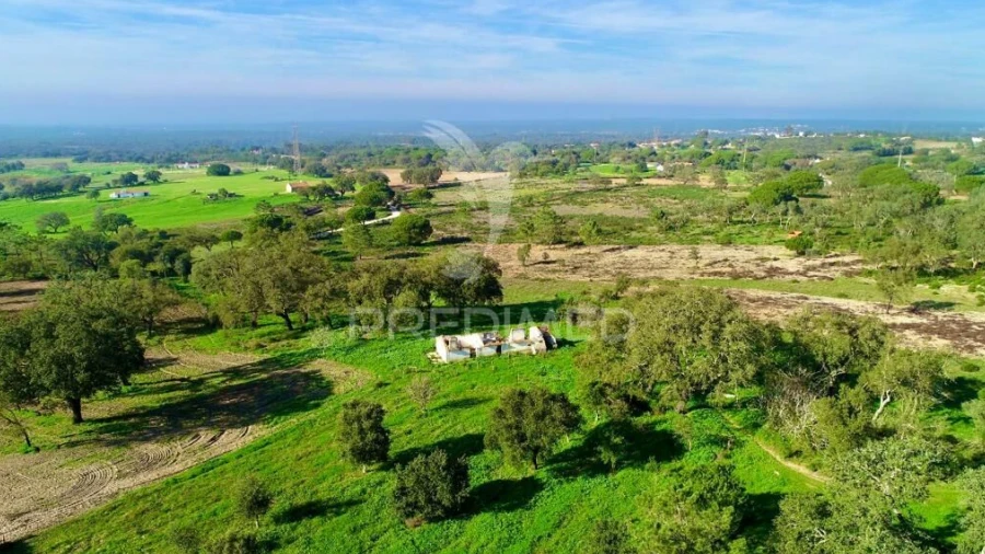 Terreno para Venda em Melides