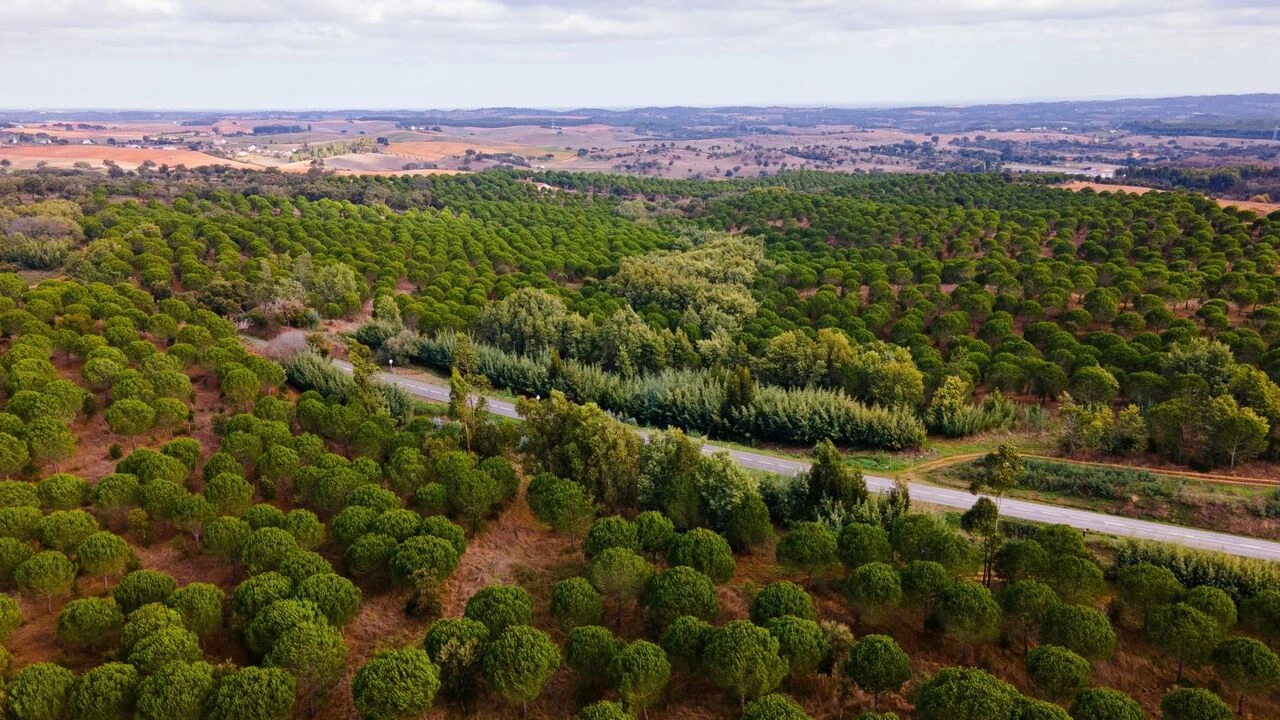 Quinta T0 para Venda em São Luis Foto 13