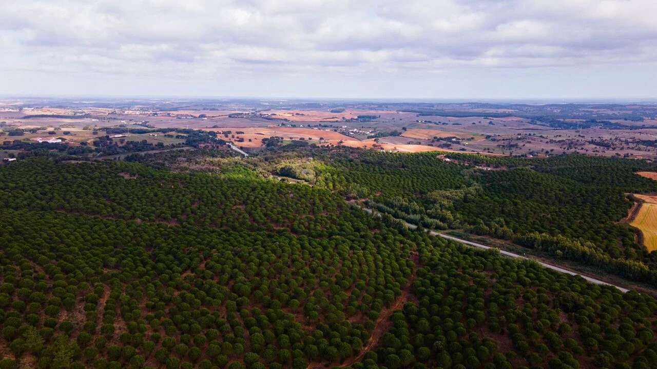 Quinta T0 para Venda em São Luis Foto 16