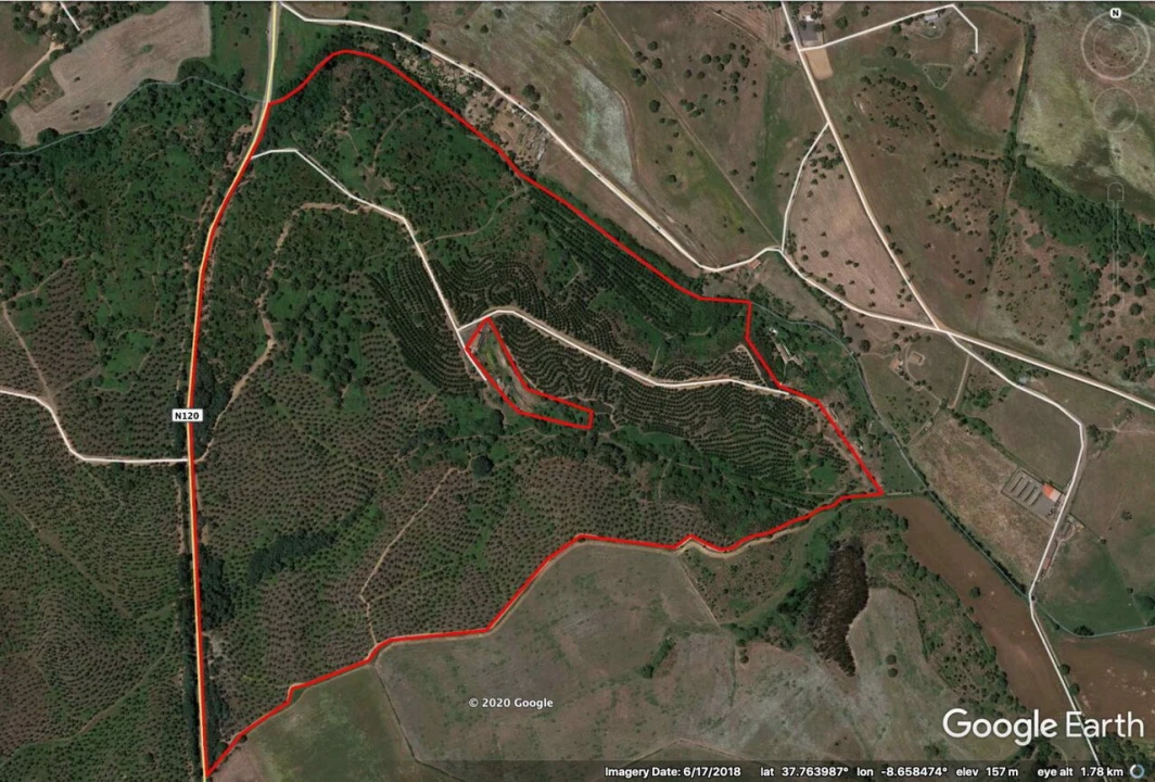 Quinta T0 para Venda em São Luis Foto 6