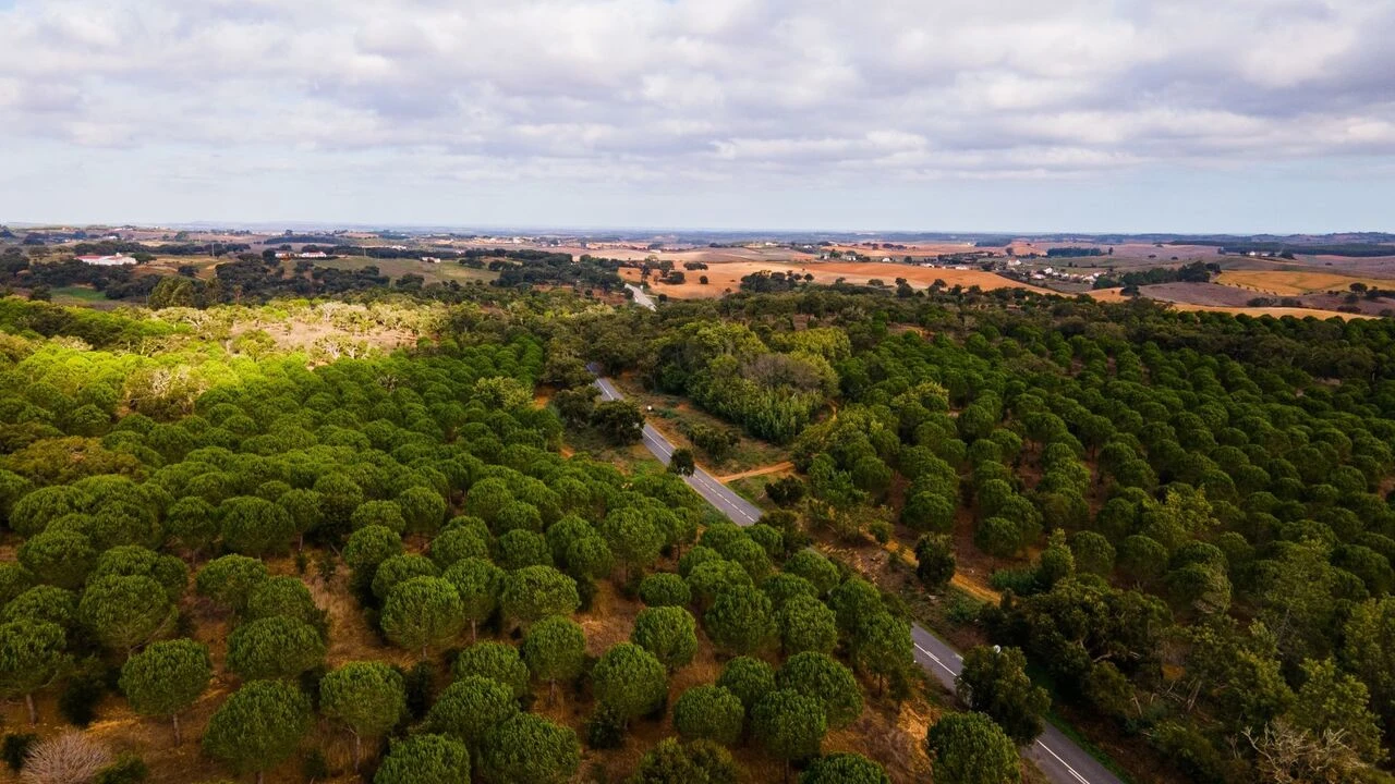 Quinta T0 para Venda em São Luis Foto 10