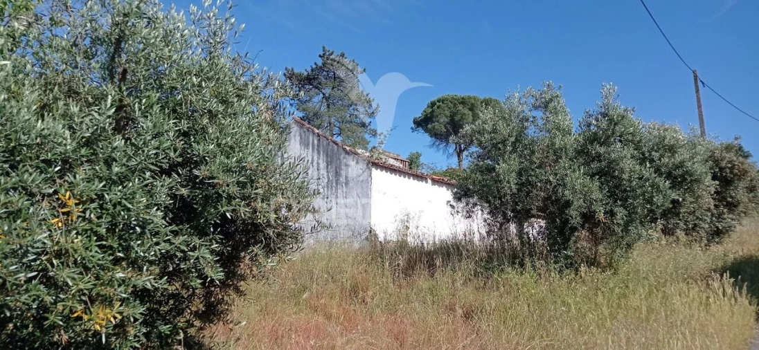 Moradia T3 para Venda em Montargil Foto 4