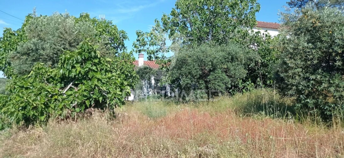 Moradia T3 para Venda em Montargil Foto 5