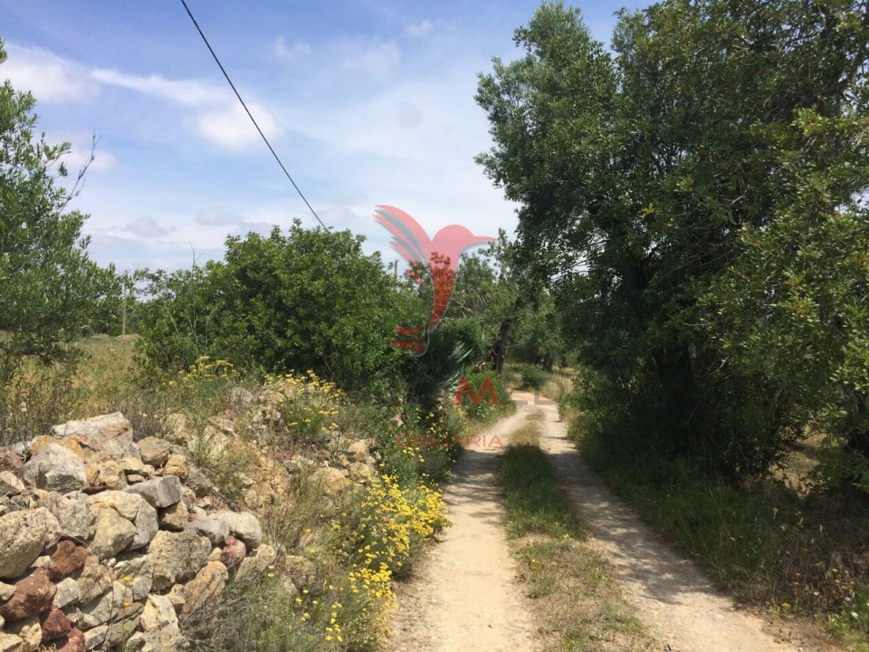 Terreno para Venda em Santa Catarina da Fonte do Bispo Foto 18