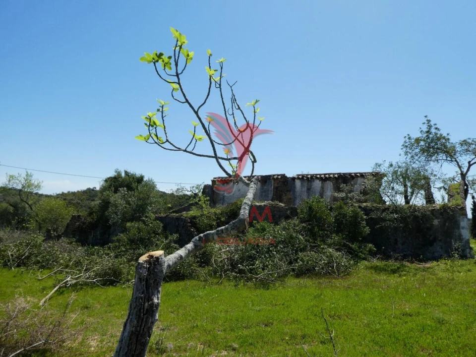 Terreno para Venda em Santa Catarina da Fonte do Bispo Foto 23