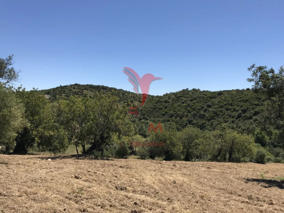 Terreno para Venda em Santa Catarina da Fonte do Bispo Foto 17