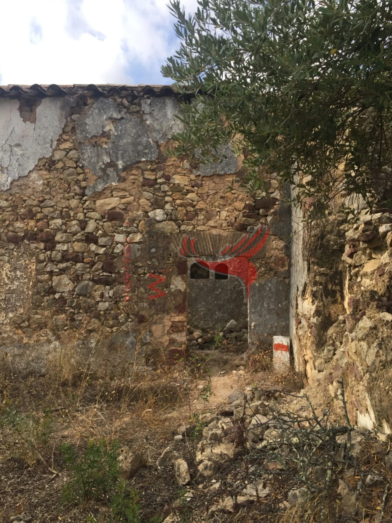 Terreno para Venda em Santa Catarina da Fonte do Bispo Foto 20