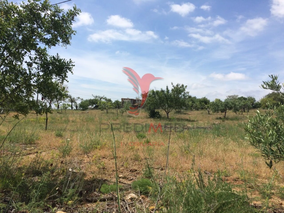 Terreno para Venda em Santa Catarina da Fonte do Bispo Foto 13