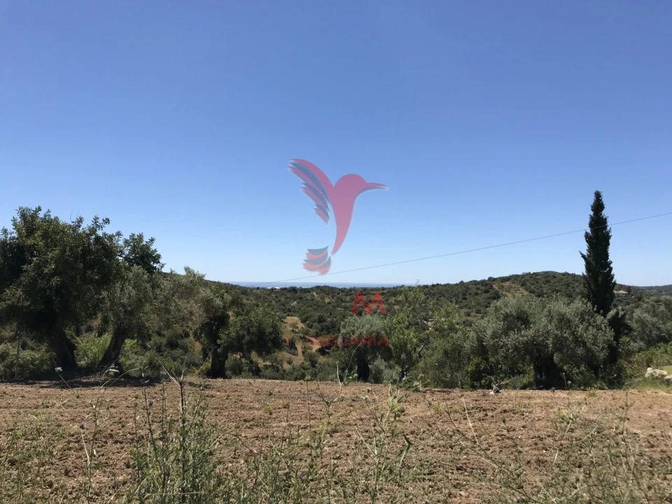 Terreno para Venda em Santa Catarina da Fonte do Bispo Foto 12