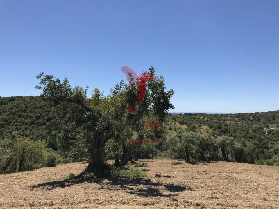 Terreno para Venda em Santa Catarina da Fonte do Bispo Foto 10