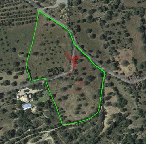 Terreno para Venda em Santa Catarina da Fonte do Bispo Foto 9